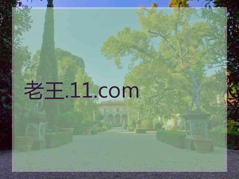 老王.11.com