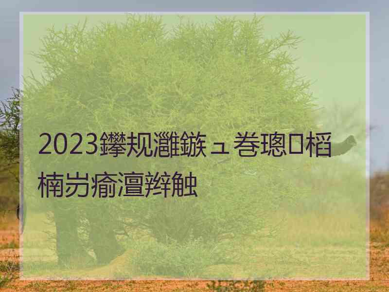 2023鑻规灉鏃ュ巻璁㈤槄楠岃瘉澶辫触