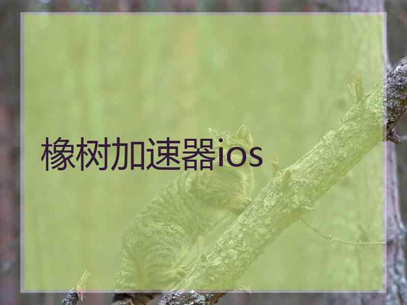 橡树加速器ios