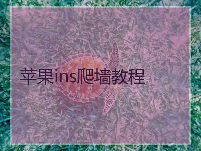 苹果ins爬墙教程