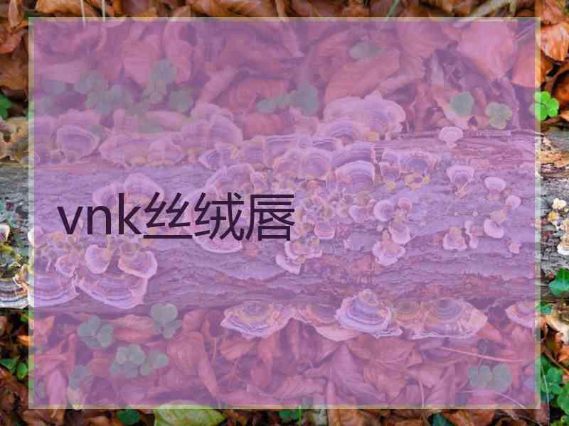 vnk丝绒唇