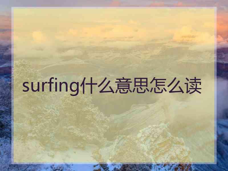 surfing什么意思怎么读