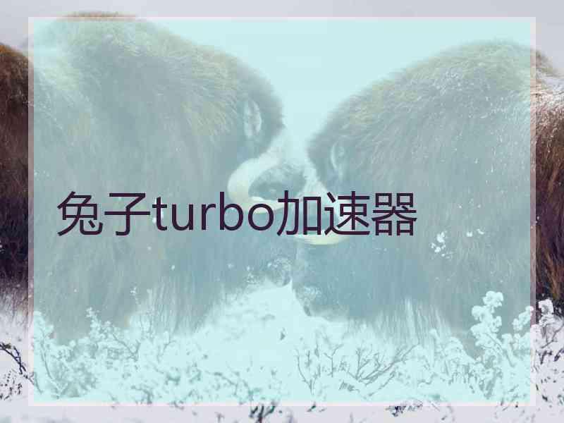 兔子turbo加速器