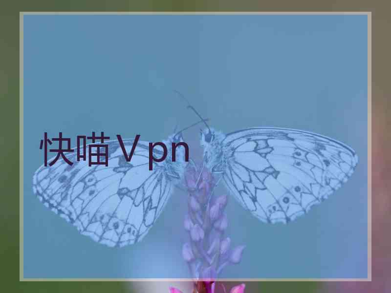 快喵Ⅴpn