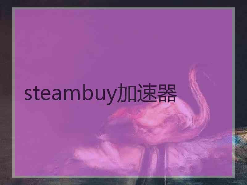 steambuy加速器