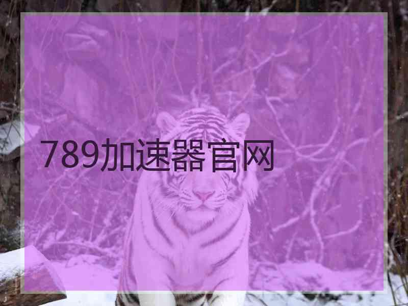 789加速器官网