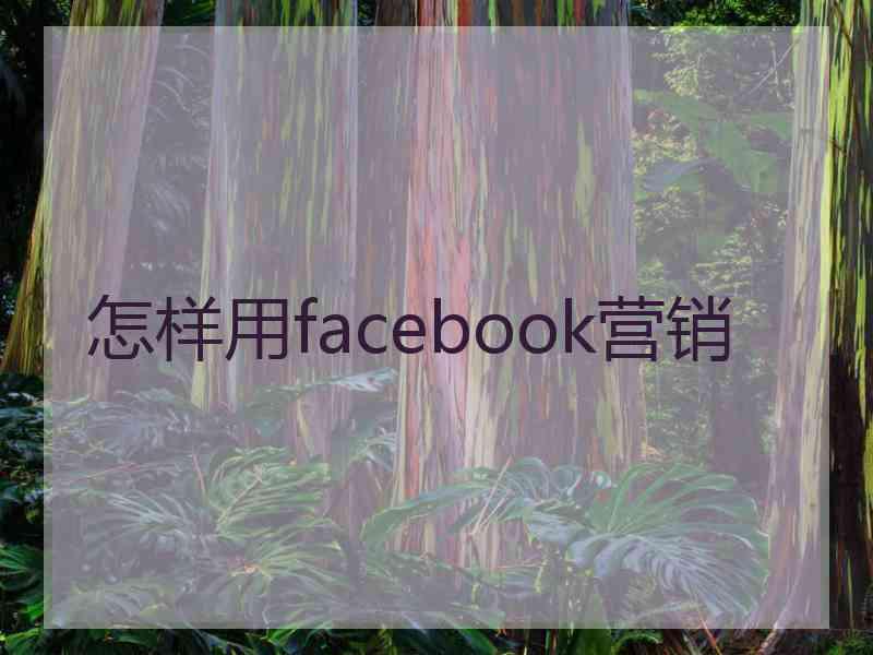 怎样用facebook营销