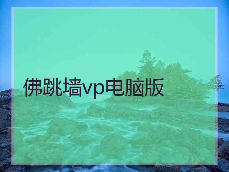 佛跳墙vp电脑版