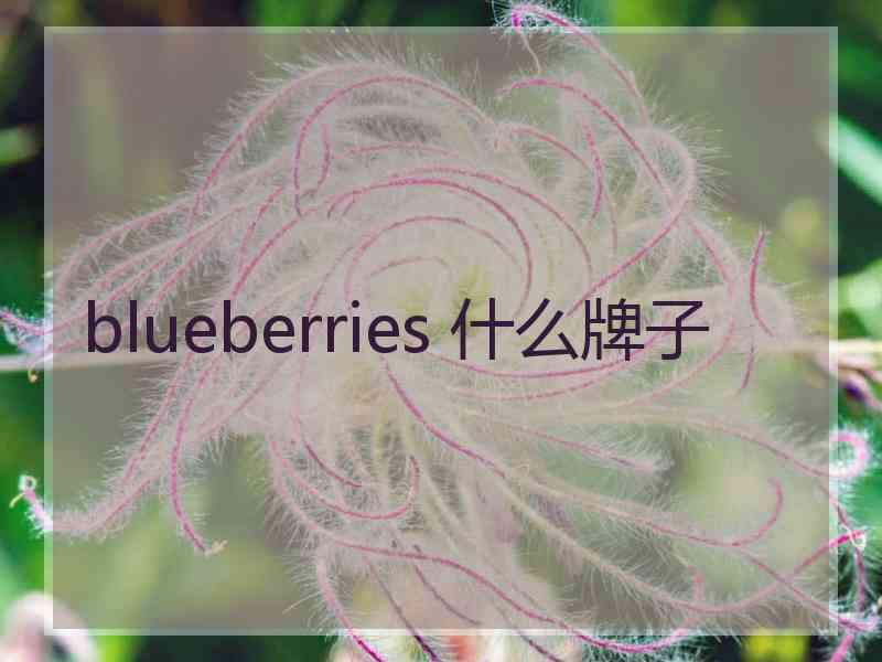 blueberries 什么牌子